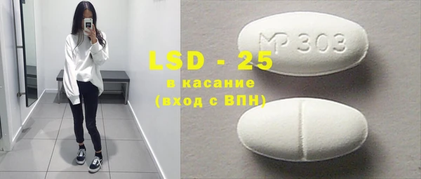 прущие грибы Баксан
