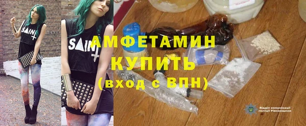 прущие грибы Баксан