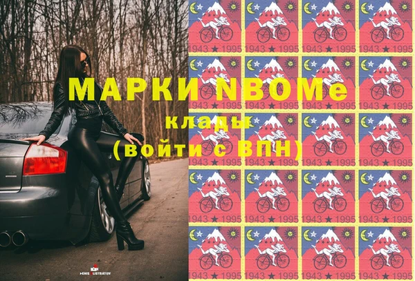 прущие грибы Баксан