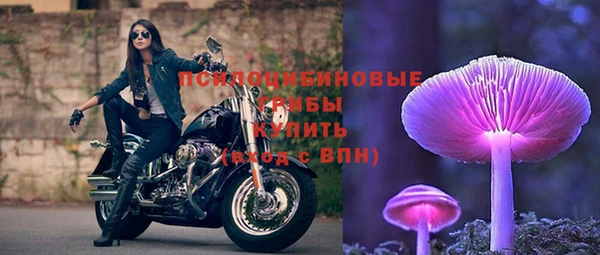 гидра Строитель