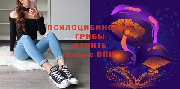 прущие грибы Баксан